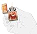 Zippo Fusion Palm Tree Sunset Pocket Lighter, High Polish Brass