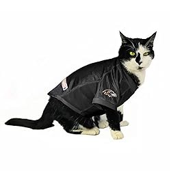 Littlearth NFL Baltimore Ravens Stretch Pet