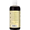 Shea-Moisture-Jamaican-Black-Castor-Oil-Strengthen-and-Restore-Shampoo-473-ml SHEA MOISTURE Jamaican Black Castor Oil Strengthen and Restore Shampoo, 506 ml (Pack of 1)