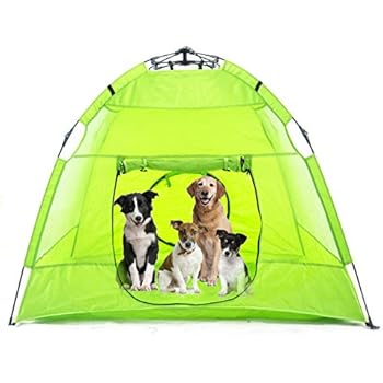 small dog beach tent