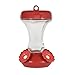 Perky-Pet 8 oz Glass Top Fill Hummingbird Feeder