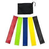 Resistance Loop Bands Set of 5, Exercise Bands for Working Out and Physical Therapy, with Carrying Bag