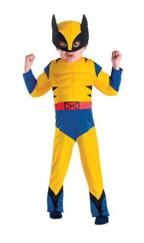 Disguise Int'lSee A/R Acct 176208 - Wolverine Muscle