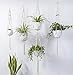 AMORNING Macrame Plant Hangers - 4 Pack, Hydroponic-Garden System