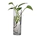 Cylinder Glass Wall Hanging Vase Bottle for Plant Flower Decorations