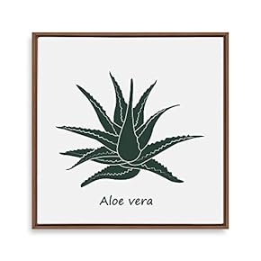 Framed Canvas Wall Art for Living Room, Bedroom Nordic Style Plants Theme Canvas Prints for Home Decoration Ready to Hang - 16x16 inches