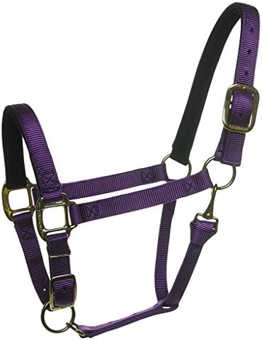 Fabtron Comfort Fit Orthopedic Felt Lined Adjustable 1" Nylon Halter Black Small Horse