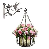 Plant Hanger Brackets Wall Mounted - Cast Iron Metal Wrought Plants Hangers Hanging Decorative Hummingbird Hooks Holder for Indoor Outdoor Flower Basket Pot Planter Bird Feeder Wind Chimes Lantern