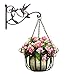 Plant Hanger Brackets Wall Mounted - Cast Iron Metal Wrought Plants Hangers Hanging Decorative Hummingbird Hooks Holder for Indoor Outdoor Flower Basket Pot Planter Bird Feeder Wind Chimes Lantern