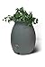 Algreen Products Castilla Rain Barrel 50-Gallon, Charcoalstone