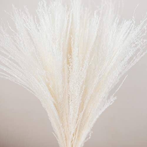Decorative Feather Reed Grass,Dried Tall Grass for Wedding Decor