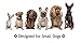 DOG CHEW & TUG Bone for Smaller Breeds and Puppies by Mary & Kate Pets, Great for Puppy Play, Training, Fetch, Rope Tug of War and Interactive Games