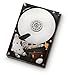 HGST Ultrastar 3.5-Inch 1TB 7200RPM SATA II 16 MB Cache Enterprise Hard Drive with 24x7 Duty Cycle (0A39289)