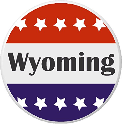 Wyoming (WY) Red White Blue Stars 1.25" Pinback Button Pin State Pride Support