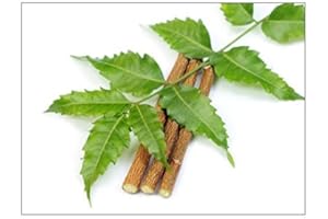 10 Chewing Sticks Of NEEM DATUN ORAL HERBAL TEETH & TONGUE CLEANER Traditional Teeth Cleaning Twig Prevent Tooth Decay And Gu