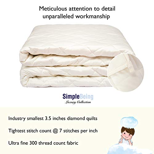 Simple Being Weighted Blanket, Patented 9 Layer Design, 60x80 20lb