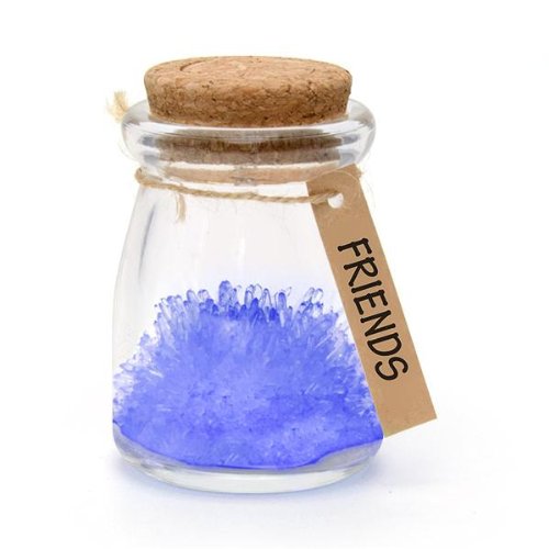 Friends, Blue LED Magic Grow Your Own Crystal Garden Wish Flower Jar Growing Kit