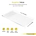 BEECRAFT Heat Transfer Vinyl Roll (White) | 100% Ultra Matte PU | 15.7