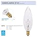 (Pack of 6) Clear European Base (E14) Torpedo Tip 120V Chandelier Bulbs (40 Watt - Straight Tip)