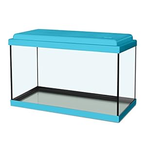 Acquario Nanolife Kidz 8 Litri blu Zolux Acquario Nanolife Kidz 8 Litri blu Zolux