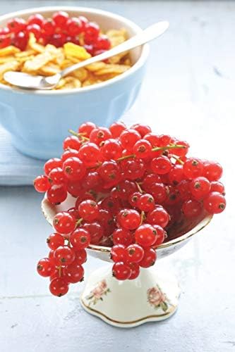 Notebear: Organic Sweet Ripe Red Currant Journal - Alternate Lined And Blank Pages (Photo Notebooks & Diaries) Paperback – Large Print, 22 Jan. 2019