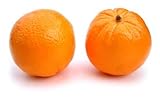 Artificial Orange, Box of 12