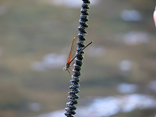 Paddle Leash With A 2 Rod Leash Set, 3 Leashes Total Plus 1, , large