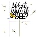 What Will It Bee Gender Reveal Party Decorations Set - He or She Bee Banner,Bumble Bee Cake Topper,12