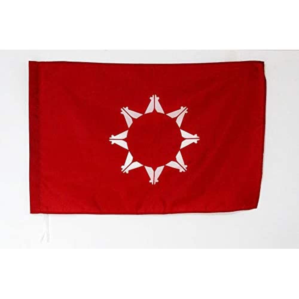 AZ FLAG - Republic of Lakotah Flag - 2x3 Ft - Lakotah Banner with Sleeve - 100% Polyester - Fade Resistant - Vivid Colors - 2' x 3' Feet - 90x60 Cm