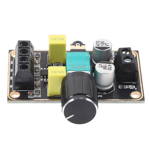 TINEASUR Digital Audio Amplifier Board for Speakers Compact Module High Efficiency and Sound Output for Custom Audio Projects