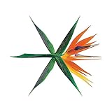 EXO - The War (4th Album) [KOREAN ver.] CD+Photobook+Photocard+Folded Poster