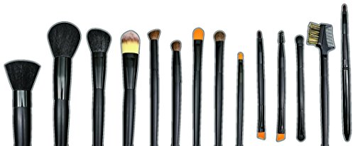 Cameo Professional Brush & Pouch, 14 Piece
