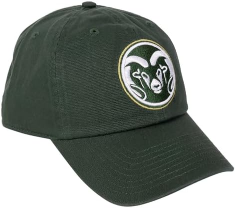 Amazon.com: Desert Cactus Colorado School of Mines Baseball Hat