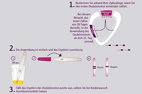 Cyclotest Ovulationstest Eisprung Test Zur Bestimmung Der