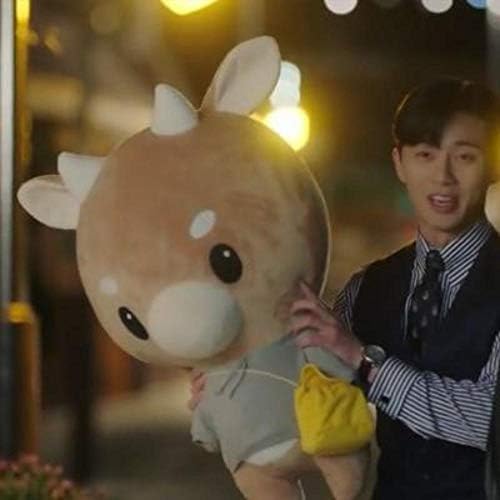 solazi TV Lovely Whats Wrong with Secretary Kim Hard Caw Pet Doll Plush Korean Drama Stuffed Child Toys