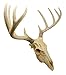 Ebros Gift Rustic Hunter Deer 10 Point Buck Skull Trophy Antlers Wall Mounted Plaque Trophy Decor Figurine 14.25