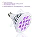 Black Light Bulbs, Mrhua 24W 12 LED Blacklight E26 PAR38 Glow in the Dark 385-400nm, Blacklight Bulb for Blacklight Party, DJ Stage Lighting, Birthday, Body Paint, Fluorescent, Neon Glow