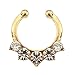 Aoyoho Pack of 5 Clip On Jewelry Fake Septum Clicker Nose Ring Non Piercing