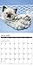 2016 Ragdoll Cats Wall Calendar