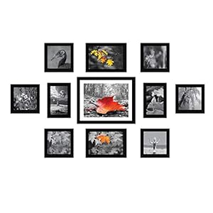 Amazon Brand – Solimo Collage Set of 11 Black Photo Frames ( 4 x 6 Inch – 2 & 5 X 5 Inch – 6, 5 X 7 inch – 2 & 8 X 10…