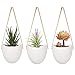 Jyukan Ceramic Hanging Planters for Indoor Air Plants Succulent Wall Planter Decor, Hanging Plant Pots Set of 3thumb 1