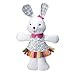 ALEX Toys Craft Color and Cuddle Washable Bunny