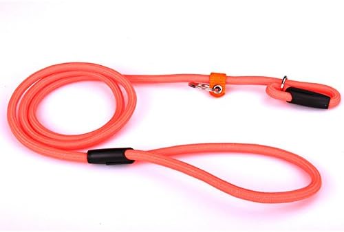Small Pet Dog Puppy Orange Training Leash Rope & Adjustable Traction Slip Collar