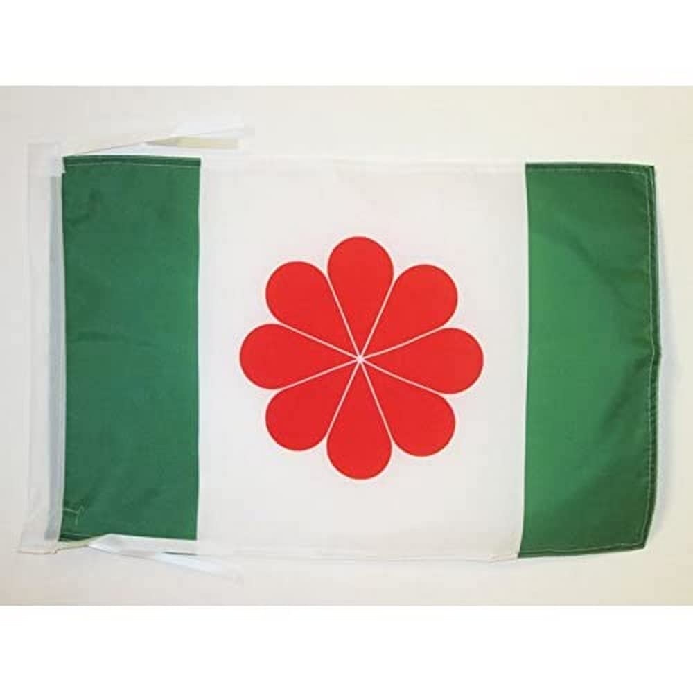 AZ FLAG - Taiwan independentist Flag - 18'' x 12'' - 100% Polyester Taiwanese Small Banner with Two Cords - Fade Resistant - Vivid Colors - 18x12 in - 45x30 Cm