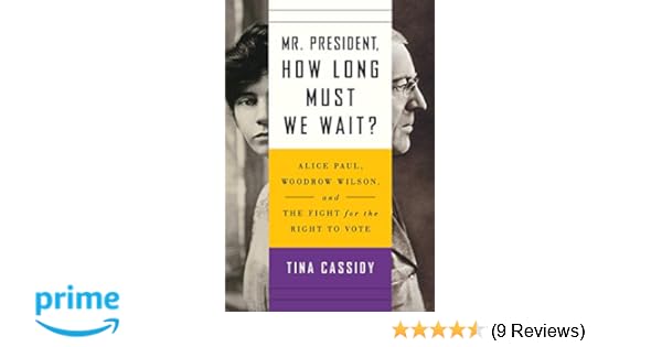 Mr President How Long Must We Wait Alice Paul Woodrow Wilson