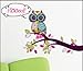 Hoot Owl on Branch Removable Wall Decals Stickers Peel and Stick Won't Harm Walls