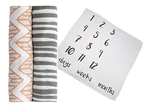 Twin Blossom Baby Month Milestone Blanket - Pipsy