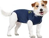 MPS Medical Pet Shirt Dog XXX-Small Blue Surgery Recovery Suit