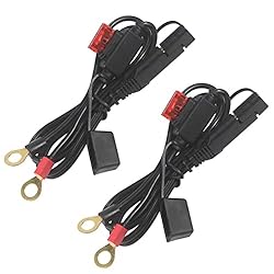 Sae to O Ring Terminal Harness 2FT - Sae Eyelet