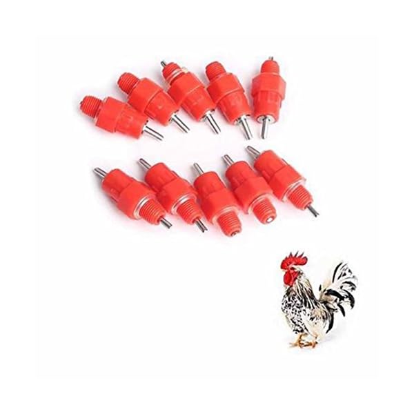 Cicony - Bottiglia d'acqua in plastica per animali domestici, 10 pezzi